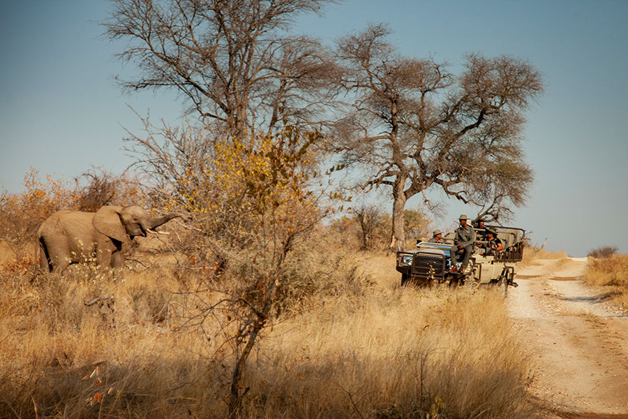 Private Game Drive